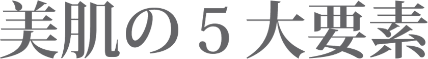 美肌の5大要素